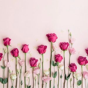 Meet your Posher, Deanna